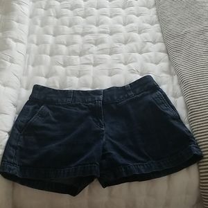 Loft shorts